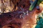 dsc02317_small.jpg