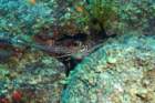 dsc02325_small.jpg