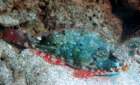 dsc02326_small.jpg