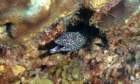 dsc02336_small.jpg