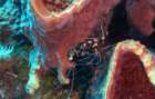 dsc02353_small.jpg