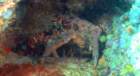 dsc02355_small.jpg