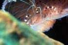 dsc02360_small.jpg