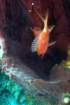 dsc02367_small.jpg