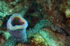 dsc02375_small.jpg