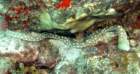 dsc02385_small.jpg