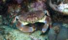 dsc02392_small.jpg