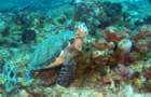 dsc02403_small.jpg