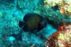 dsc02455_small.jpg