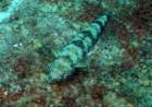 dsc02456_small.jpg
