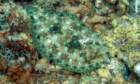 dsc02457_small.jpg