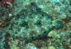dsc02458_small.jpg