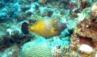 dsc02461_small.jpg