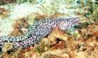 dsc02496_small.jpg