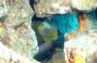 dsc02507_small.jpg