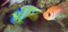 dsc02509_small.jpg