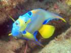 dsc02513_small.jpg