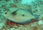 dsc02519_small.jpg