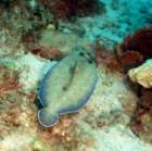 dsc02521_small.jpg