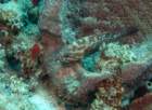 dsc02524_small.jpg