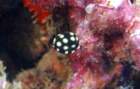 dsc02529_small.jpg