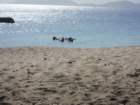 virgingorda0027_small.jpg