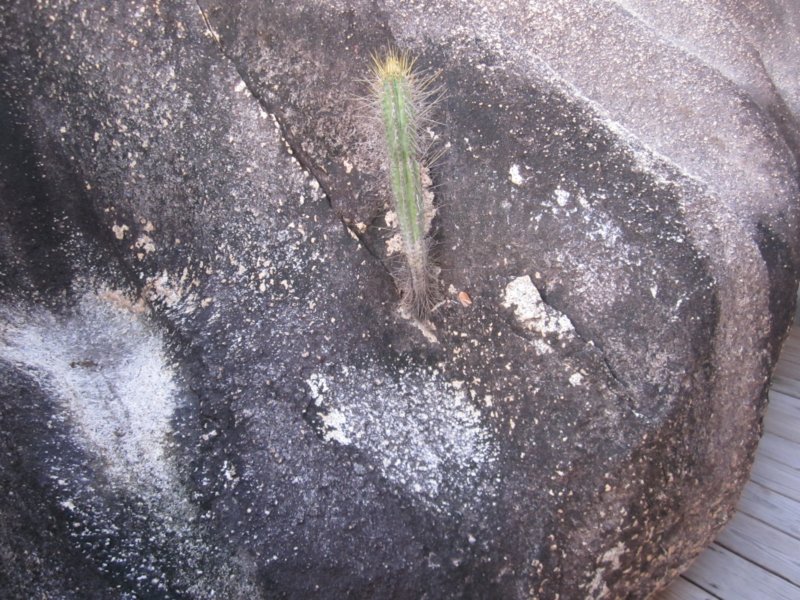 virgingorda0035.jpg