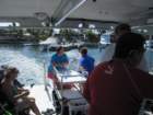 virgingorda0070_small.jpg