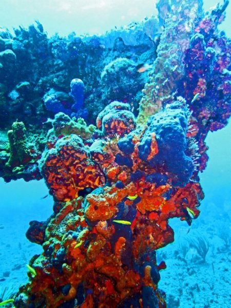 _313752062044559_1009756479_n.jpg