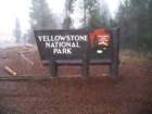 yellowstone001_small.jpg