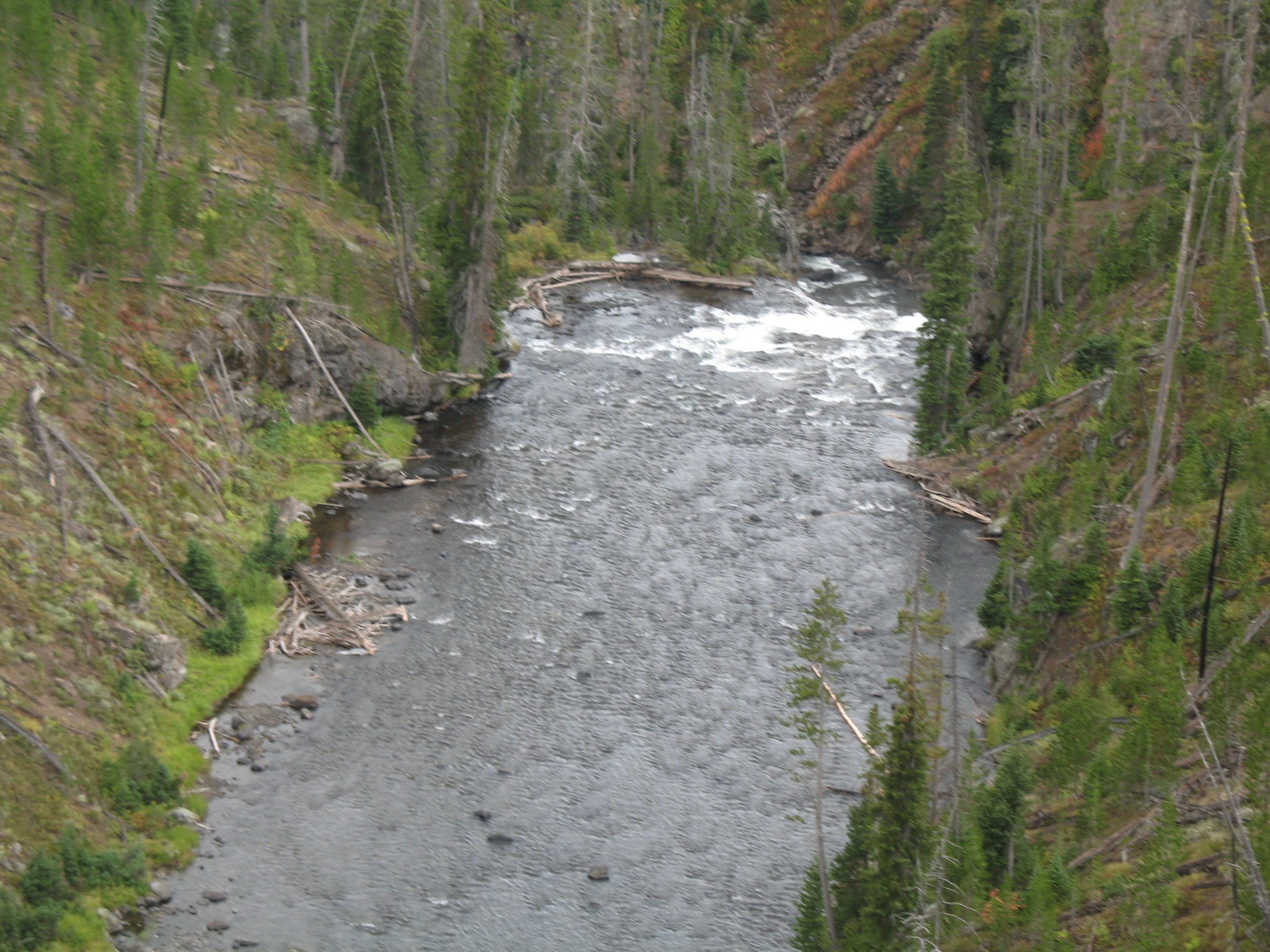 yellowstone004.jpg
