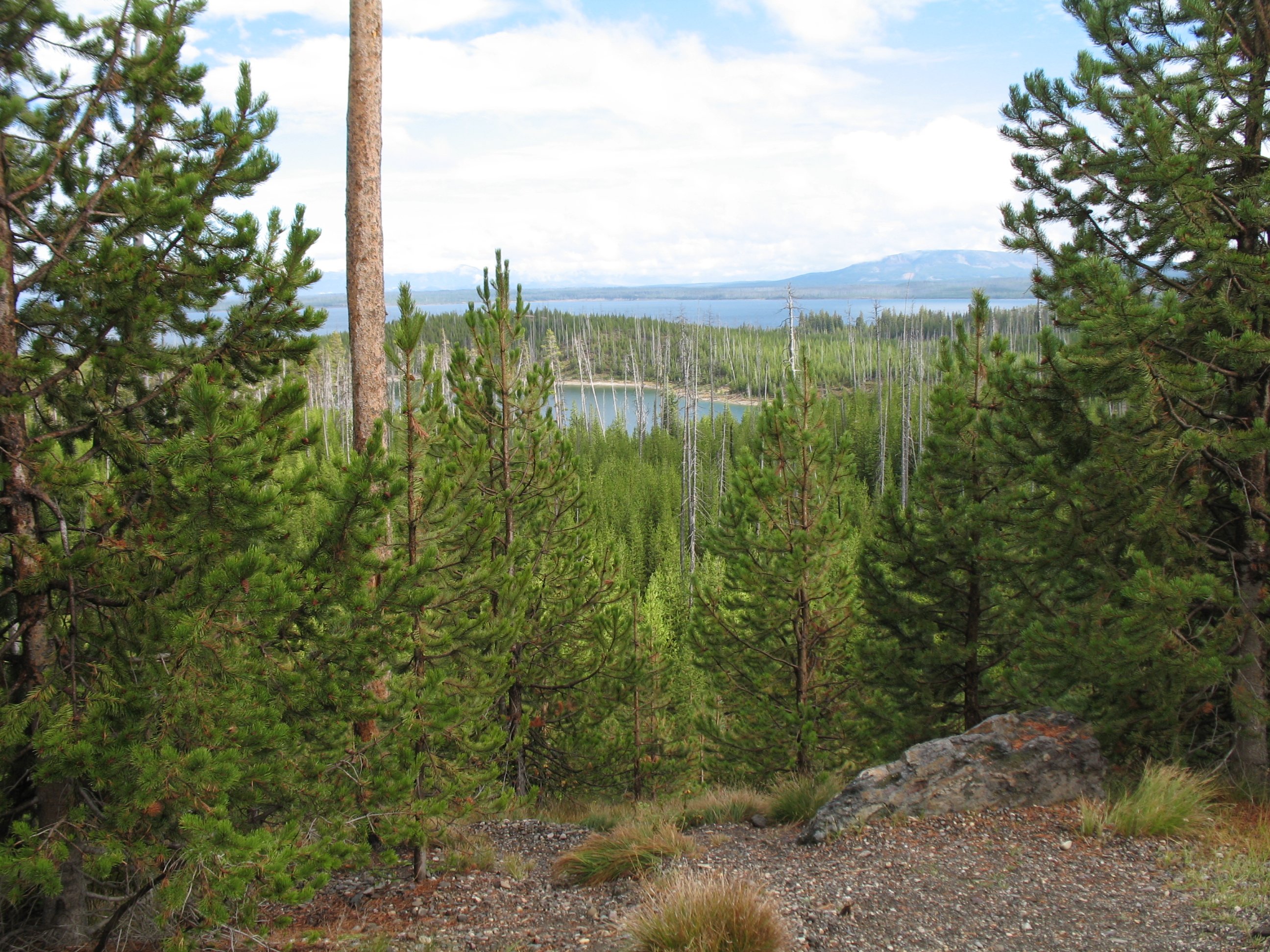 yellowstone009.jpg