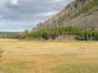 yellowstone023_small.jpg