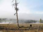 yellowstone027_small.jpg