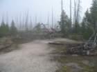 yellowstone040_small.jpg