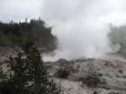 yellowstone042_small.jpg