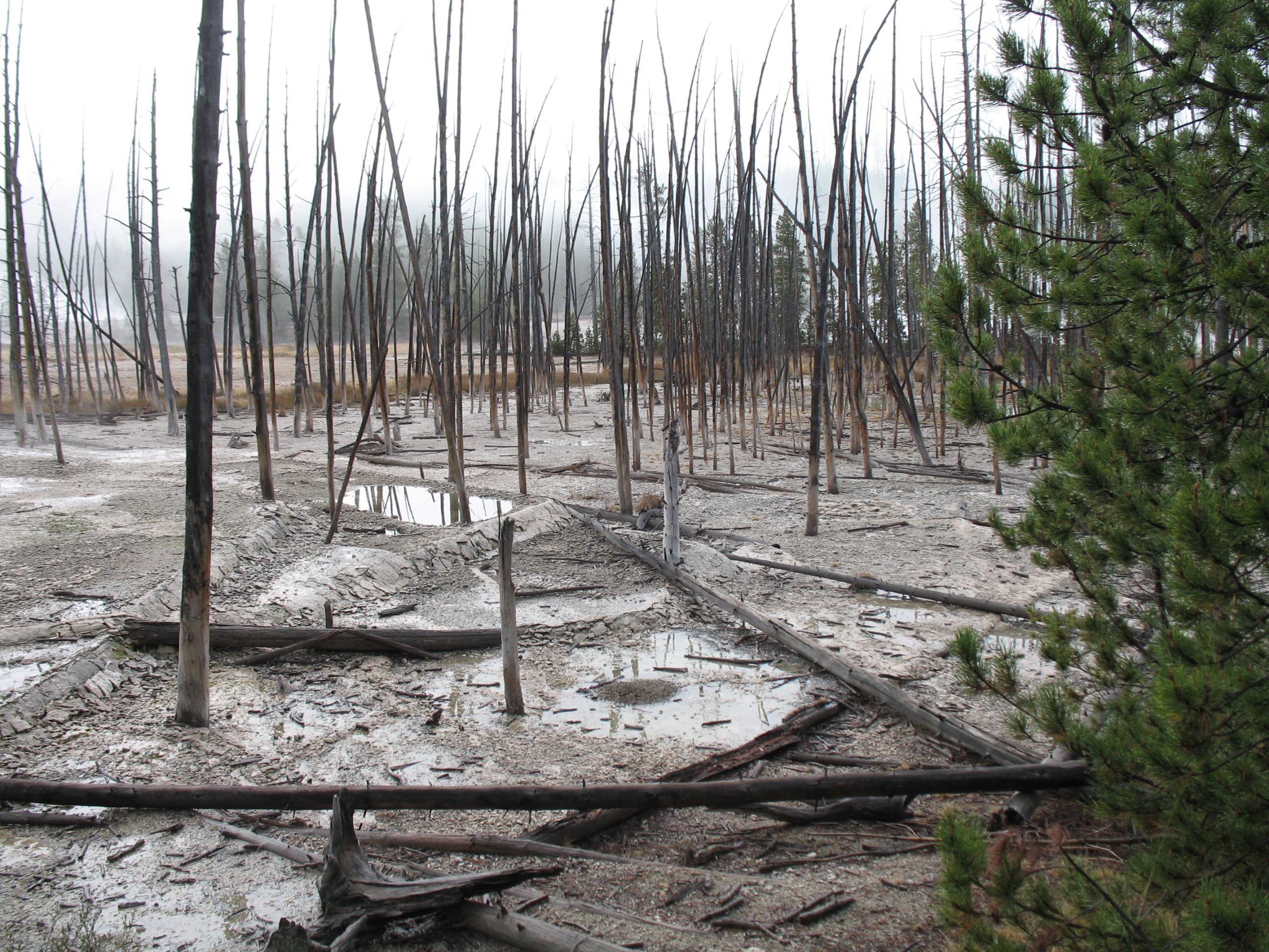 yellowstone045.jpg