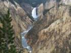 yellowstone056_small.jpg