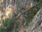 yellowstone069_small.jpg