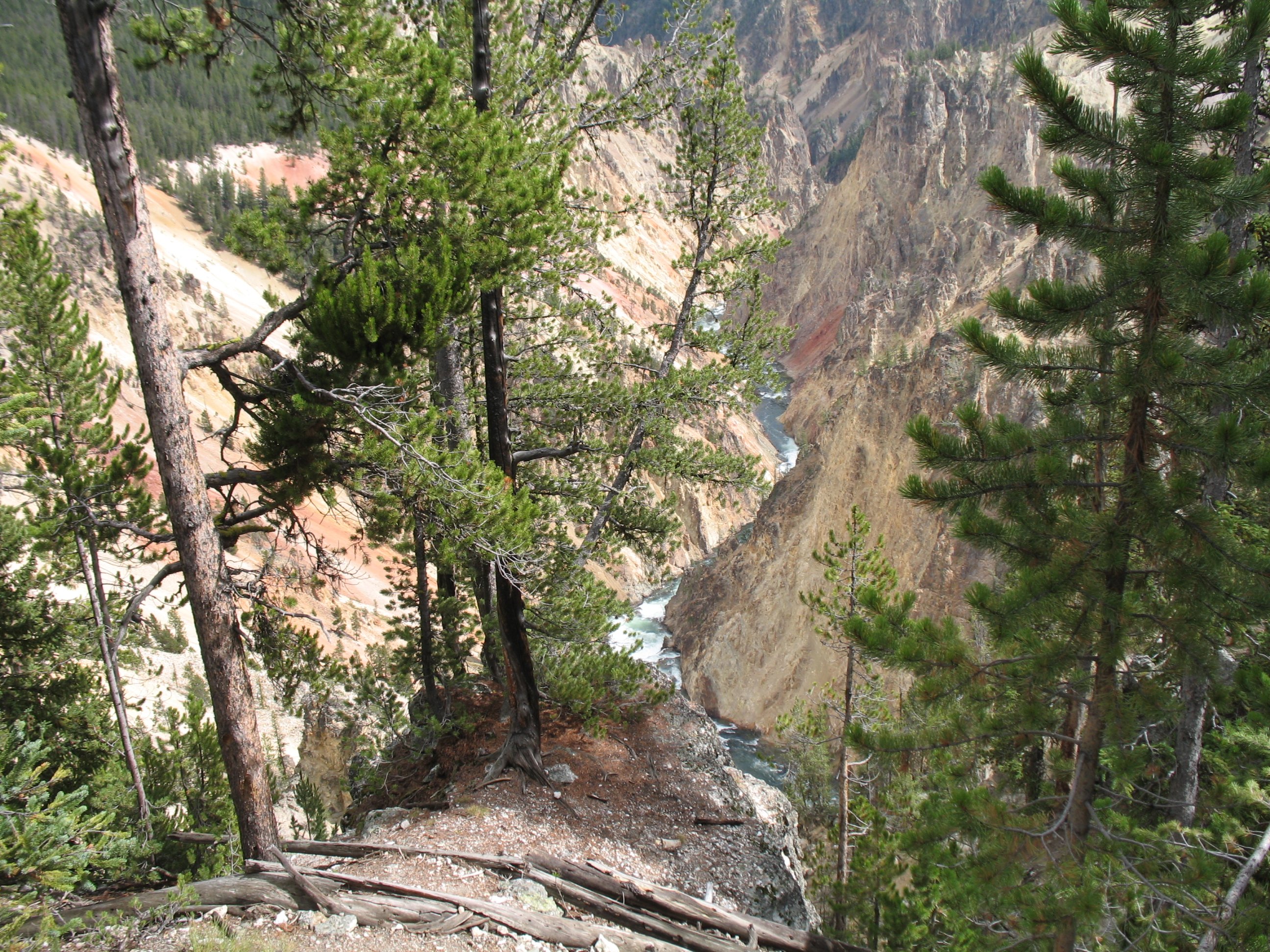 yellowstone075.jpg