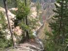 yellowstone075_small.jpg