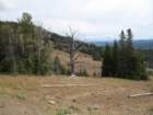 yellowstone082_small.jpg