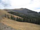 yellowstone084_small.jpg