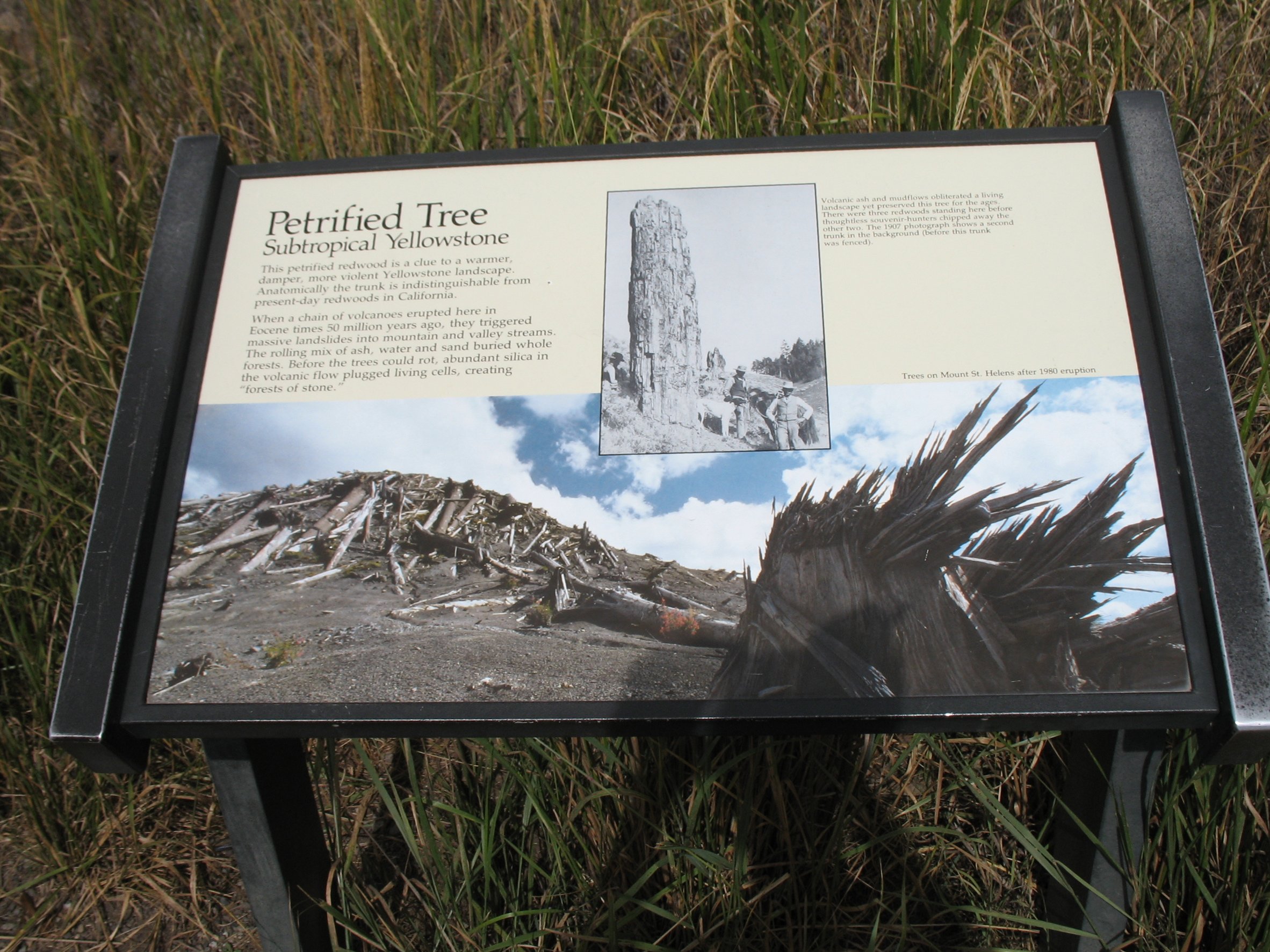 yellowstone090.jpg