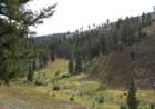 yellowstone092_small.jpg