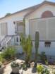 cactus051_small.jpg